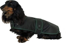 Water and Windproof Dachshund