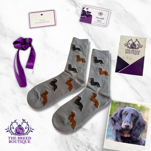 Long haired dachshund socks - long,