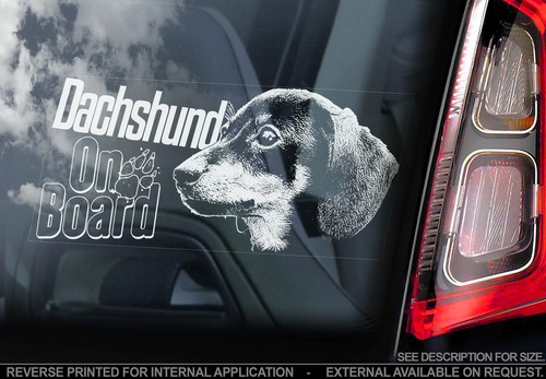 Dachshund car window - car, sticker