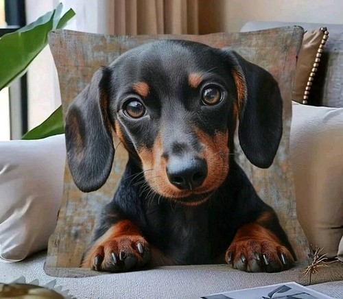 Dachshund puppy dog cushion - dachshund,