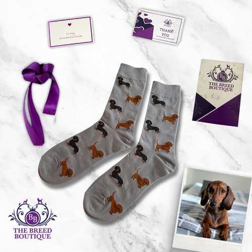 Dachshund socks red and - socks,