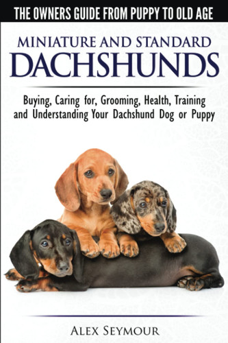 Dachshunds the owner s - dachshunds, owner's