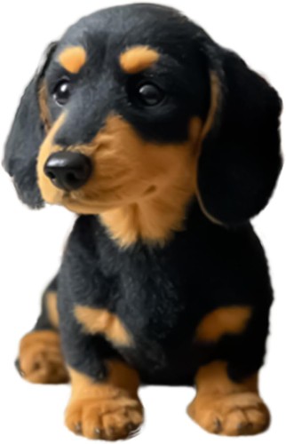 Dachshund plush toy sausage - plush,