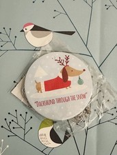 Sausage Dog / Dachshund Dog