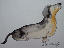 Original watercolour dog
