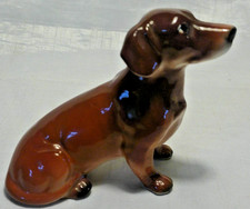 Cute Brown Dacshund Sat Down